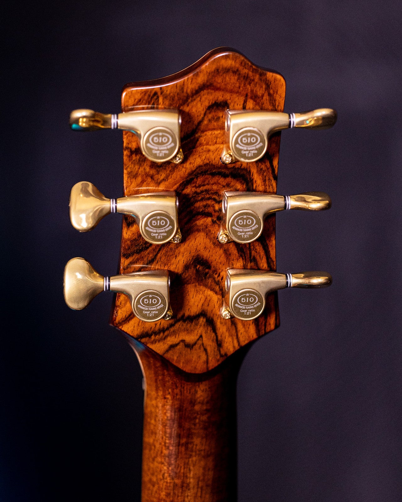 Brazilian Rosewood Dreadnought