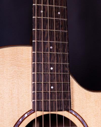 Brazilian Rosewood Dreadnought