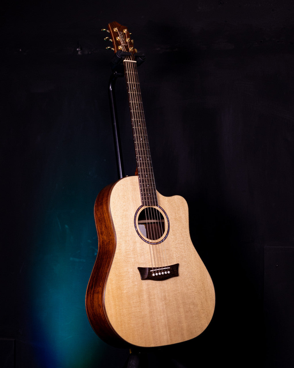 Brazilian Rosewood Dreadnought